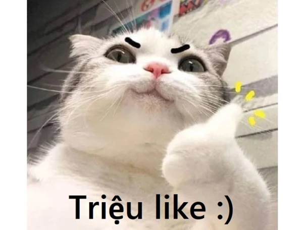 meme like 18 jpg