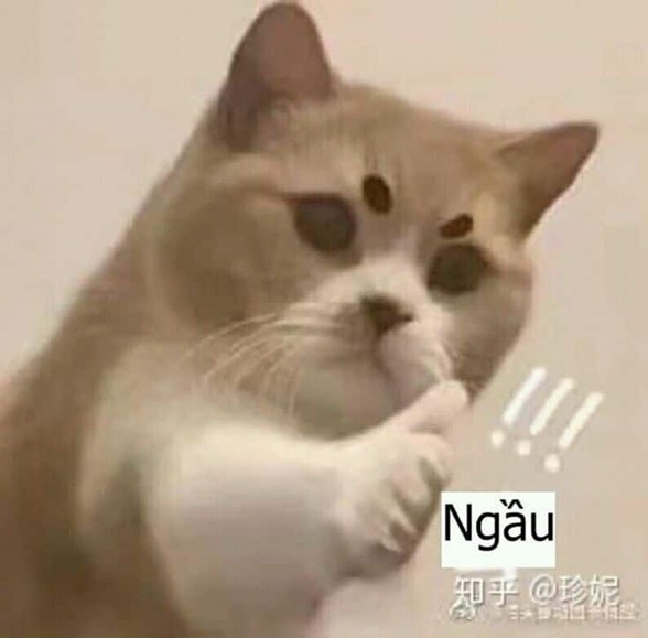 meme like 20 jpg
